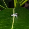 Arrow Sparkle Ring