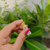 BUTTERFLY RING